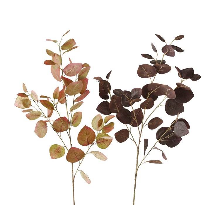 Fleur branchage figuier des pagodes - Marron