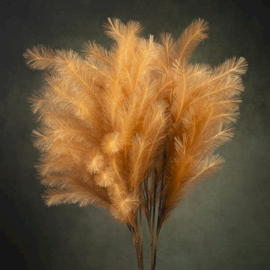 Branchage à plumes - Mauve