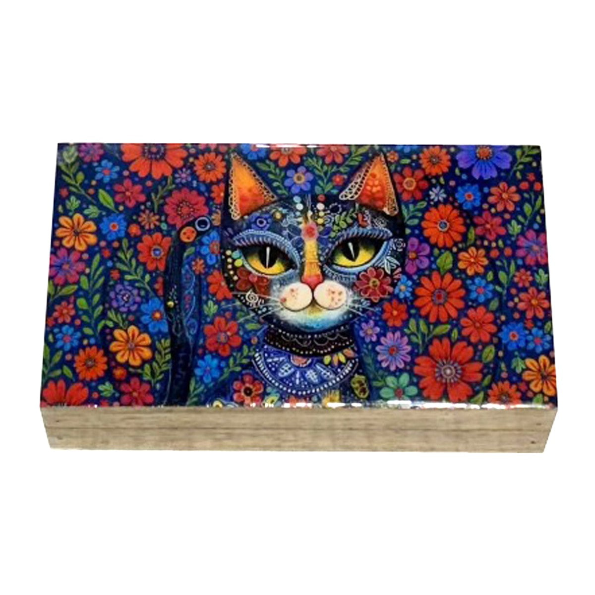 Boite chat - Multico