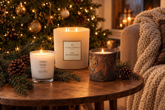 Bougies de Noël parfumées allumées près d'un sapin décoré avec pommes de pin et plaid