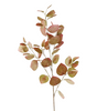 Fleur branchage figuier des pagodes - Naturel