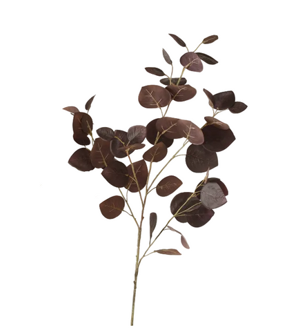 Fleur branchage figuier des pagodes - Marron