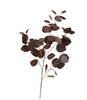Fleur branchage figuier des pagodes - Marron
