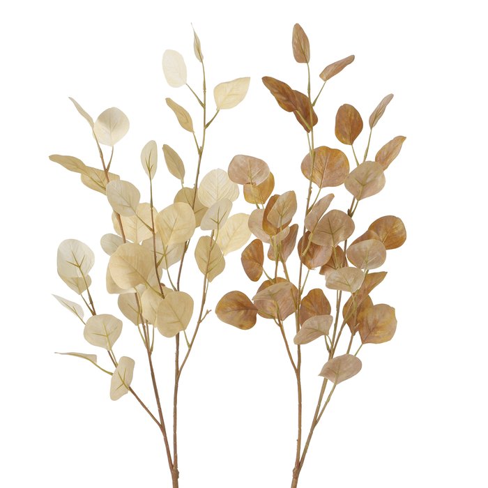 Fleur branchage eucalyptus - Beige