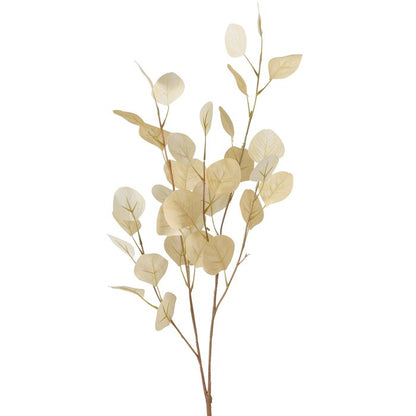 Fleur branchage eucalyptus - Beige