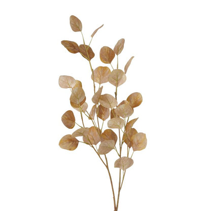 Fleur branchage eucalyptus - Marron