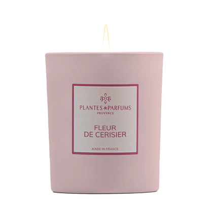 Bougie végétale - Fleur de cerisier