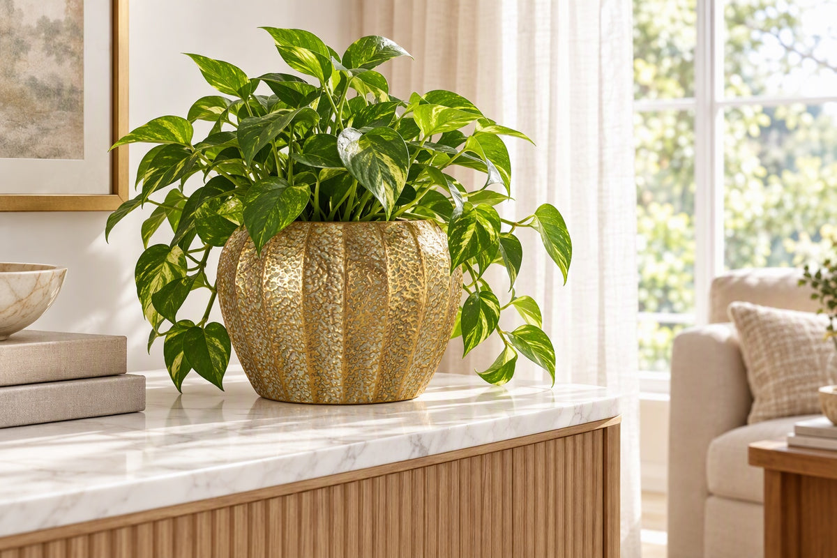 Cache-pot doré en fer martelé avec une plante verte posé sur une console
